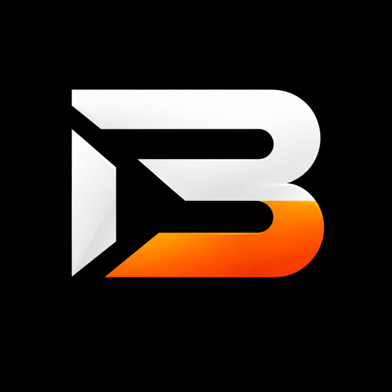 BRAUNweb & design Logo